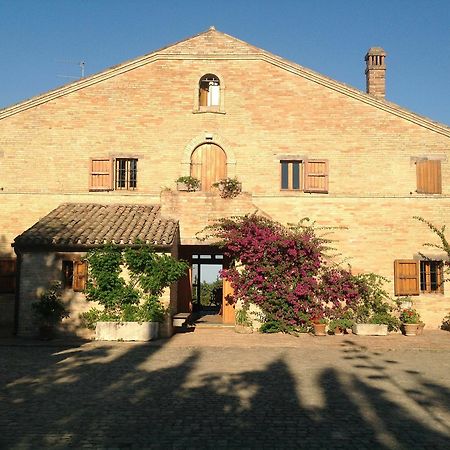 B&B Migliarino ชิวิตาโนวา มาร์เค ภายนอก รูปภาพ